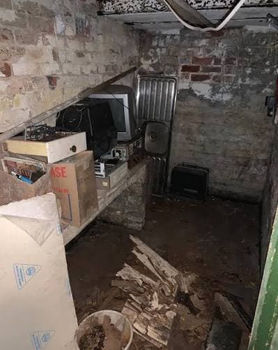 Caves humides et pigeons à Verviers : décontamination complète